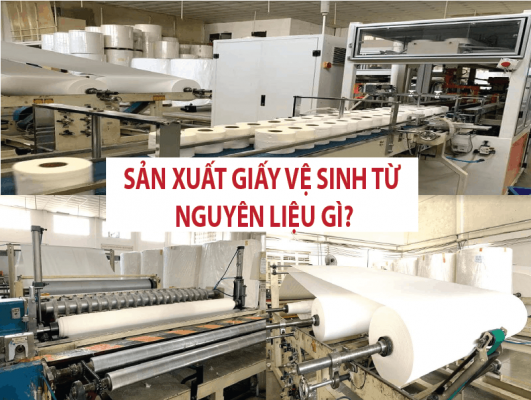 Sản xuất giấy vệ sinh từ nguyên liệu gì?