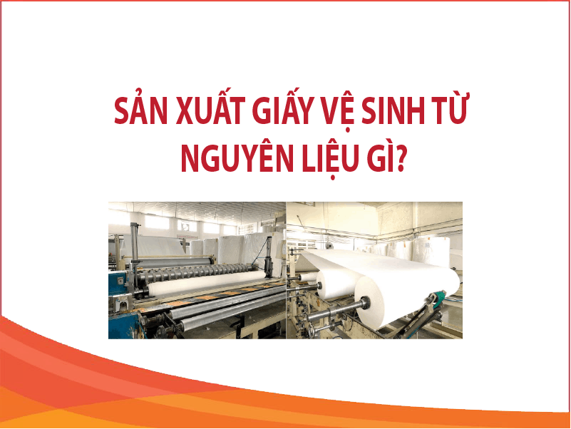 Sản xuất giấy vệ sinh từ nguyên liệu gì?