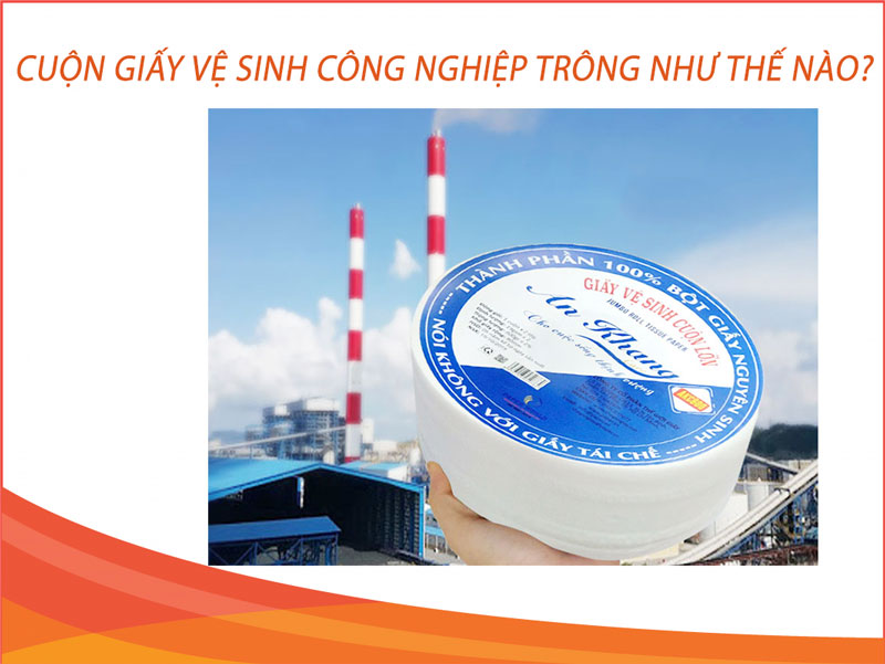 Cuộn giấy vệ sinh công nghiệp trong như thế nào