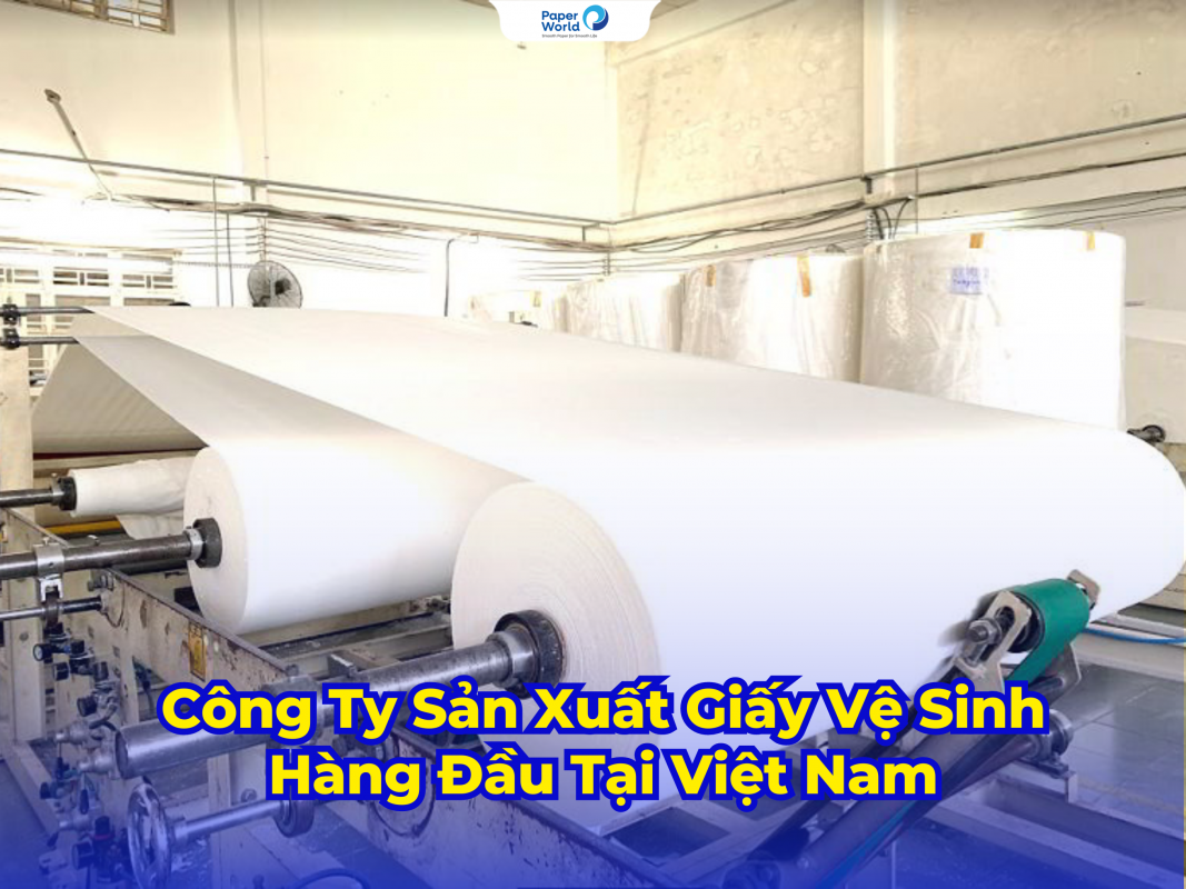 Công Ty Sản Xuất Giấy Vệ Sinh Hàng Đầu Tại Việt Nam