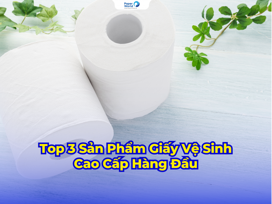 Top 3 Sản Phẩm Giấy Vệ Sinh Cao Cấp Hàng Đầu