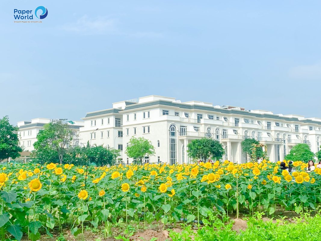 Danangpaper.com – Chuyên cung cấp giấy, hộp đựng giấy tại Đà Nẵng