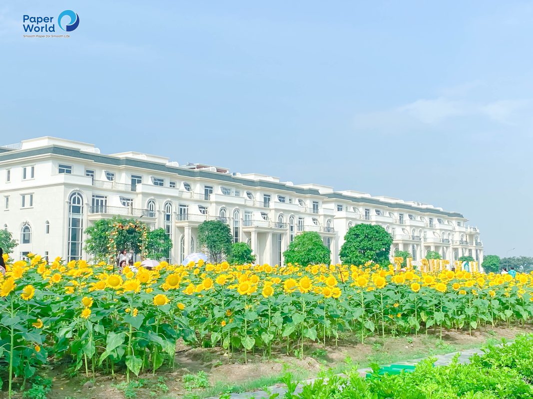 Danangpaper.com – Chuyên cung cấp giấy, hộp đựng giấy tại Đà Nẵng