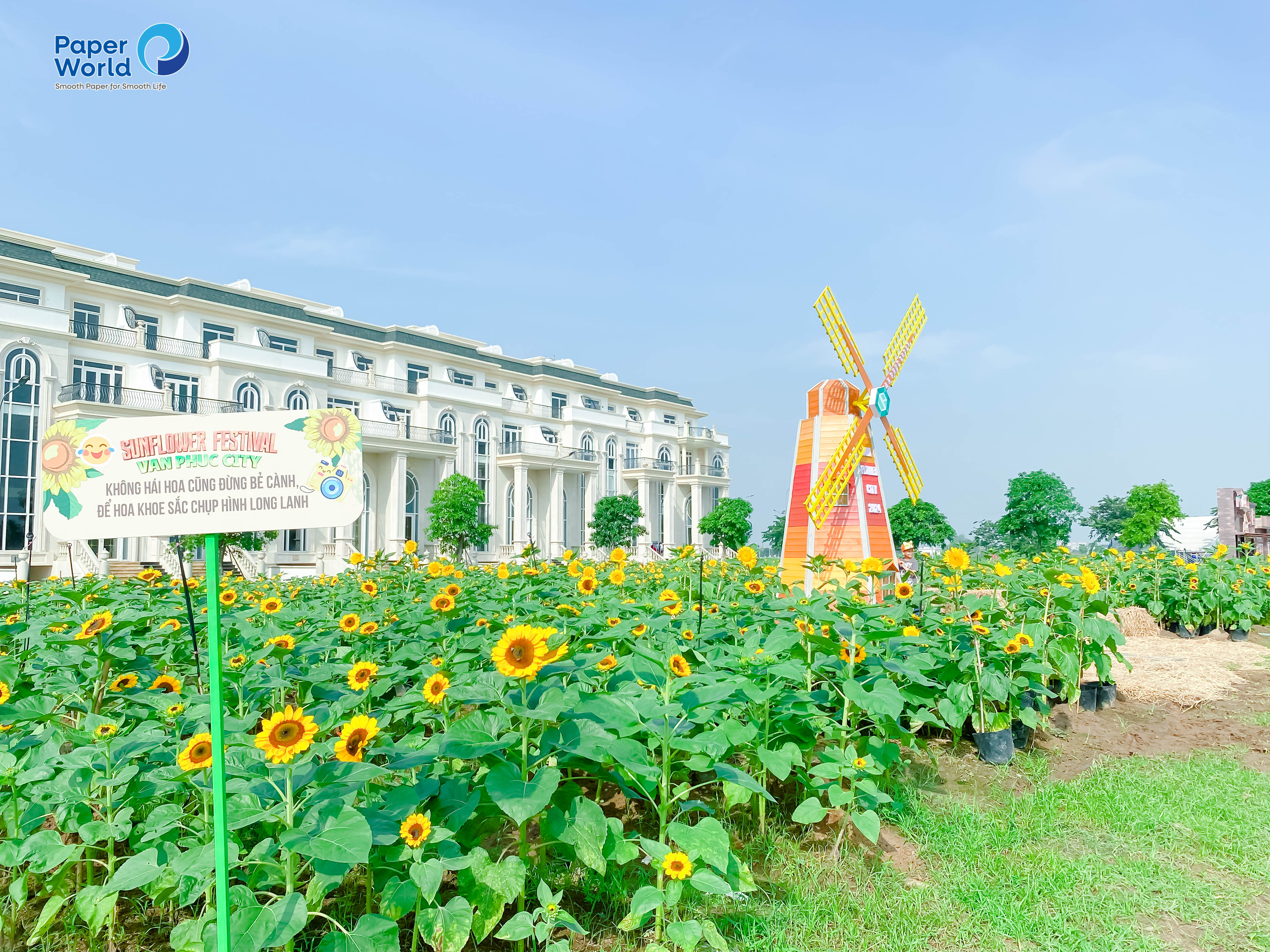 vườn hoa hướng dương thủ đức