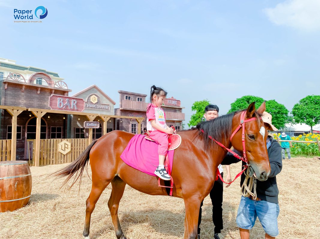 Danangpaper.com – Chuyên cung cấp giấy, hộp đựng giấy tại Đà Nẵng