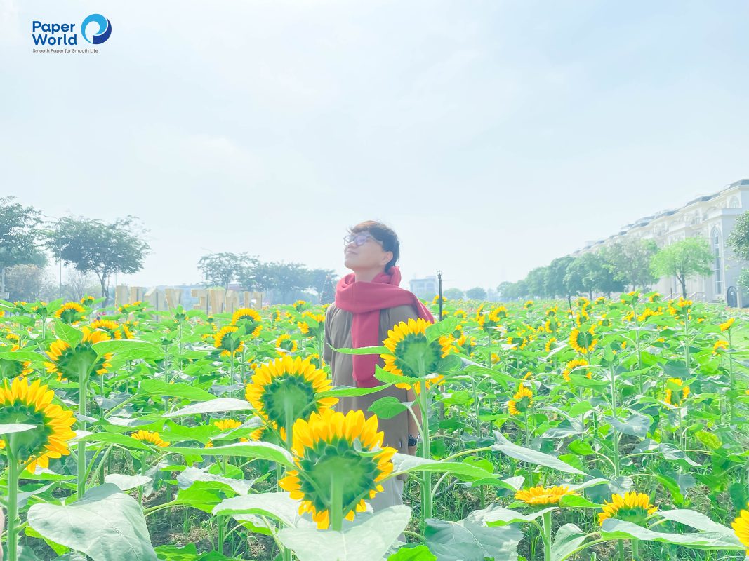 Danangpaper.com – Chuyên cung cấp giấy, hộp đựng giấy tại Đà Nẵng